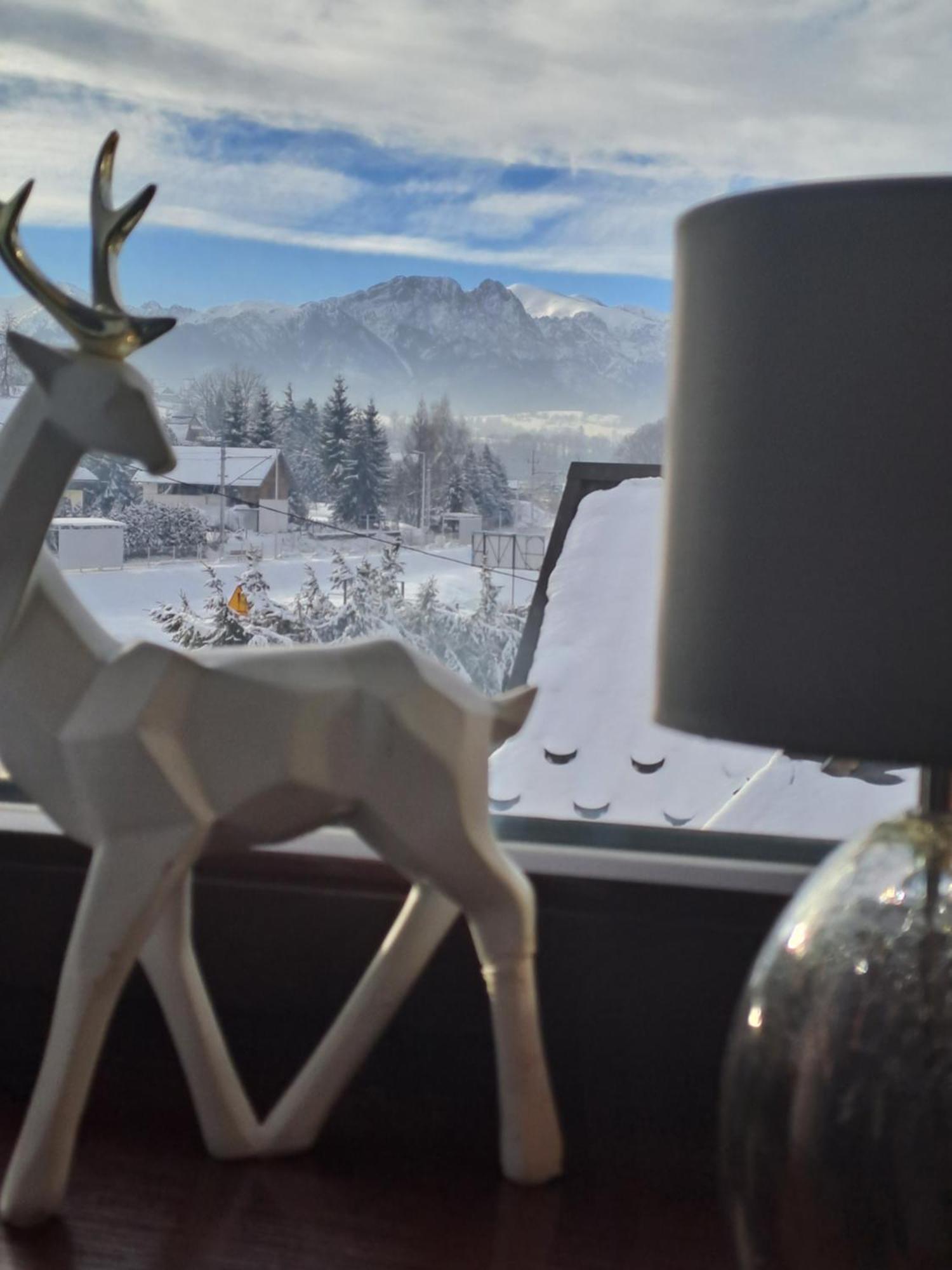 Pokoje Goscinne U Paliderki Poronin Buitenkant foto